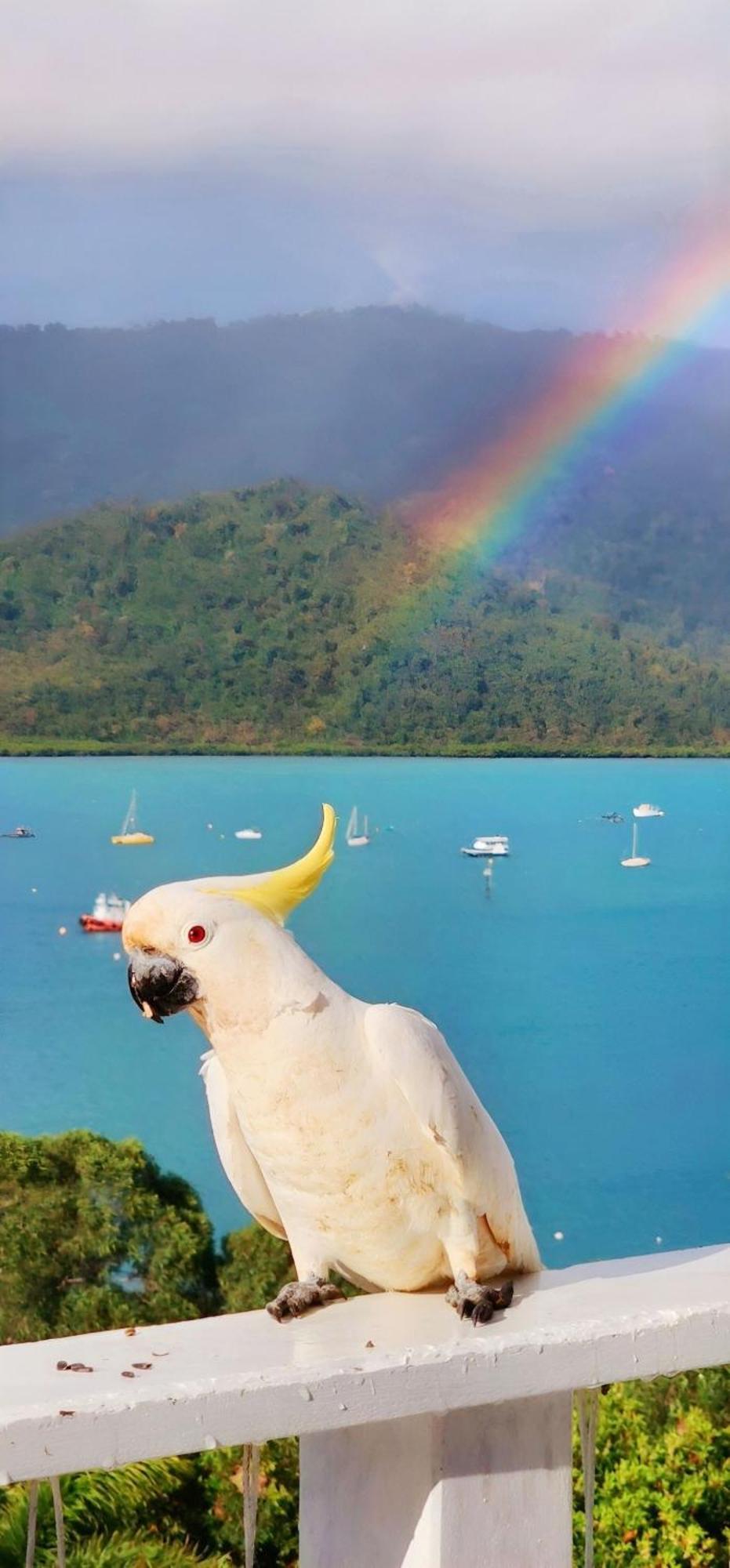 The Haven View - Airlie Beach Bagian luar foto